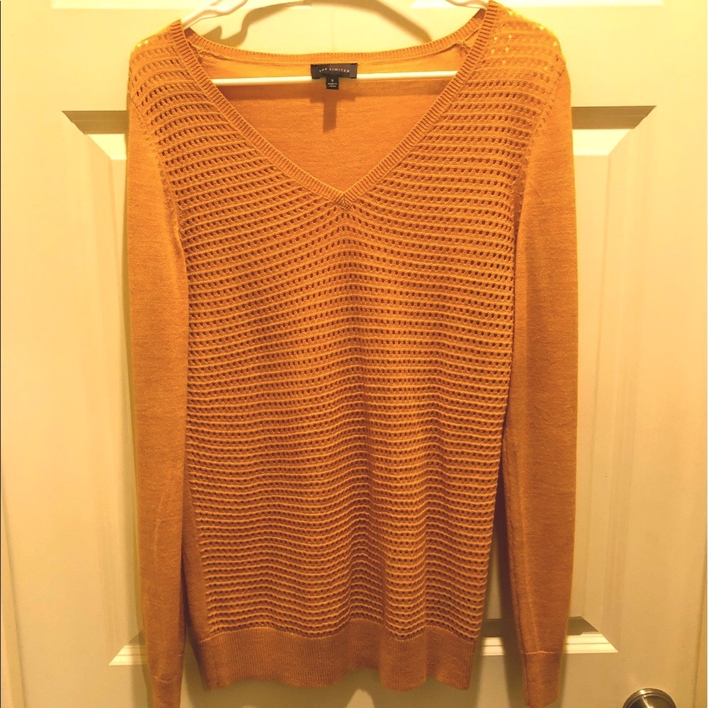 The Limited V-Neck Sweater